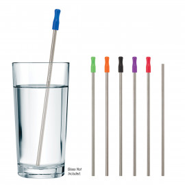 Product: STAINLESS STEEL STRAW WITH CLEANING BRUSH