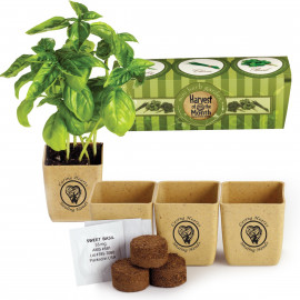 Product: GROWPOT ECO-PLANTER HERB 3-PACK