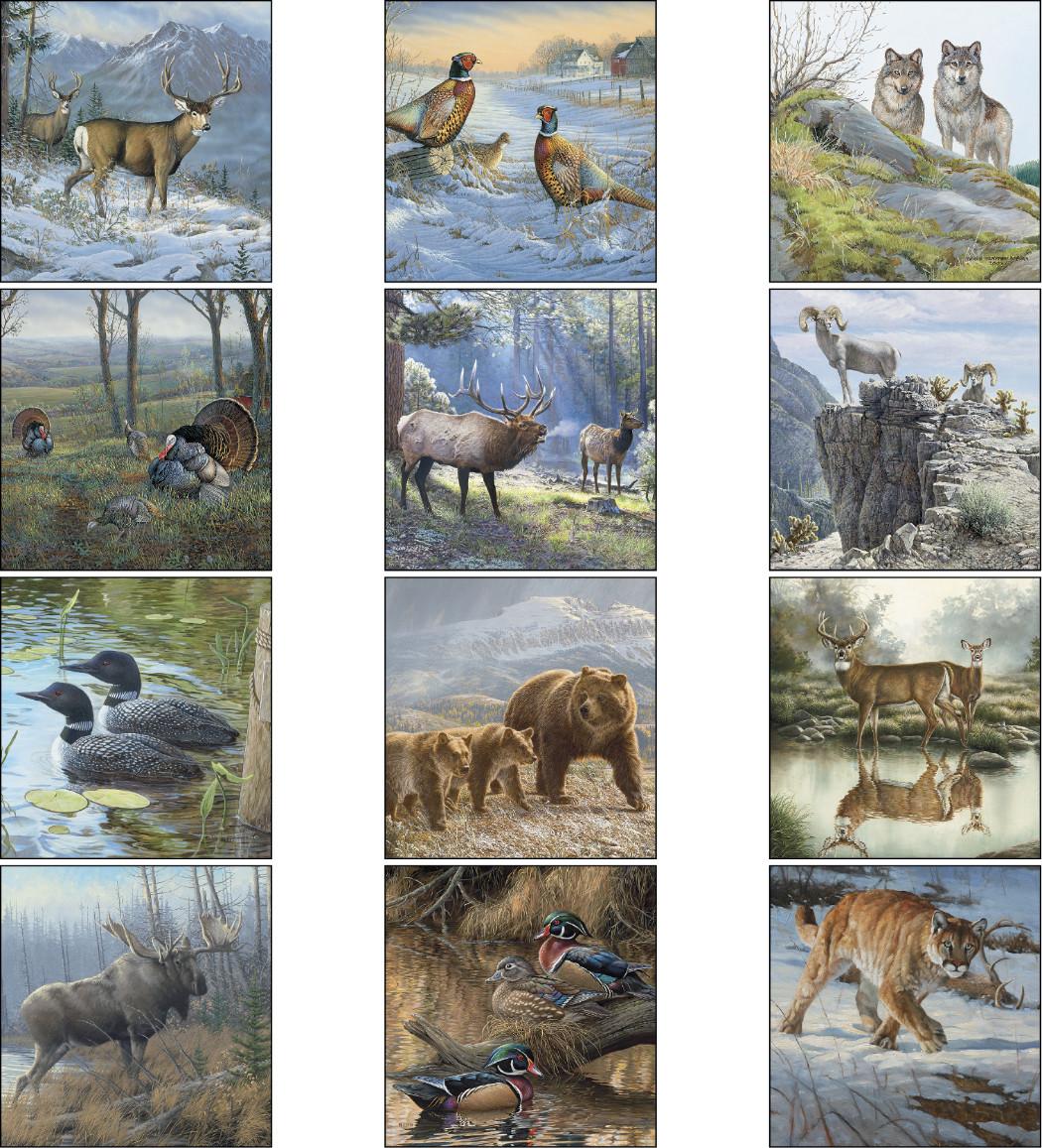 Wildlife Art Calendar
