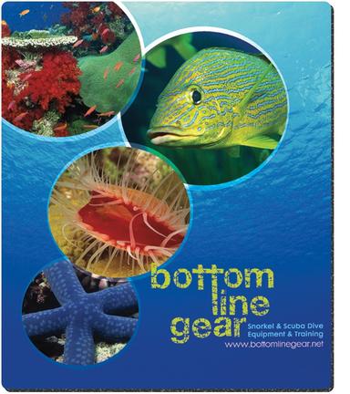 Rectangle Firm Surface Mouse Pad (8"x9-1/2"x1/16")